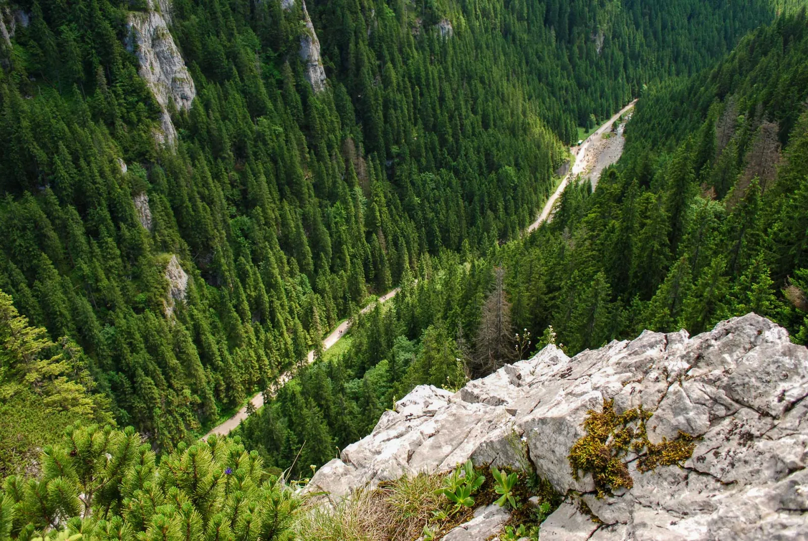 Dolina Kościeliska